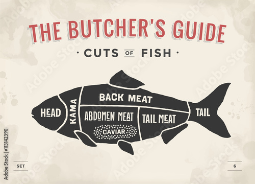 Cut of meat set. Poster Butcher diagram and scheme - Fish. Vintage typographic hand-drawn. Vector illustration