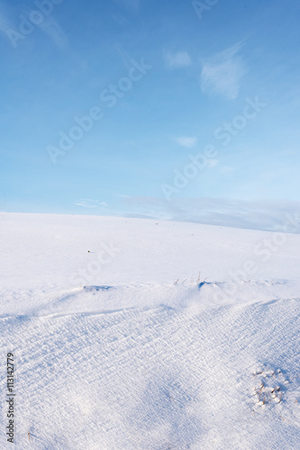 Snowy land.