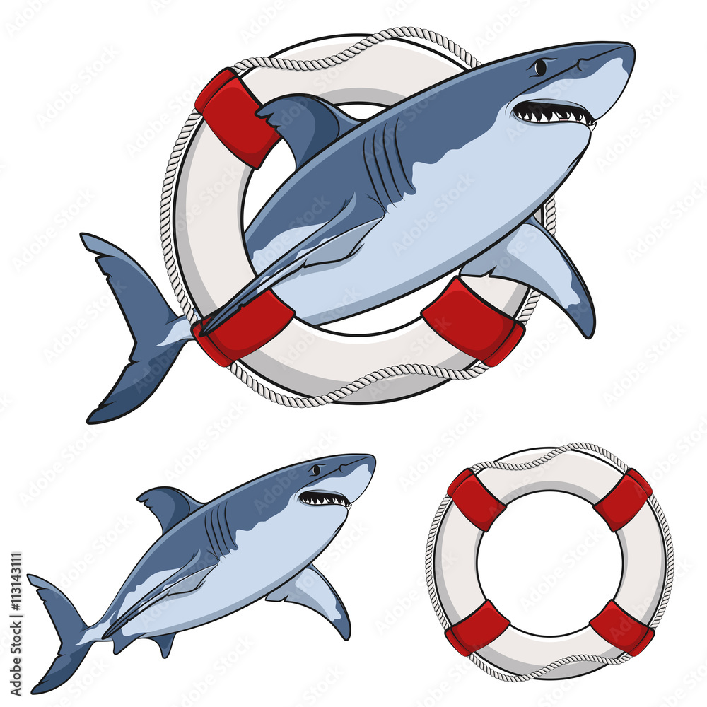 Obraz premium Color image white shark and a life buoy. Vector isolated objects on white.