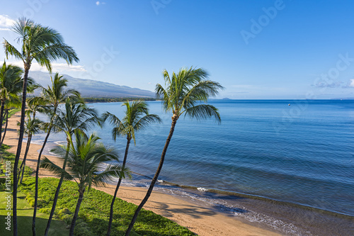 Obraz na plátně Sugar Beach Kihei Maui Hawaii USA