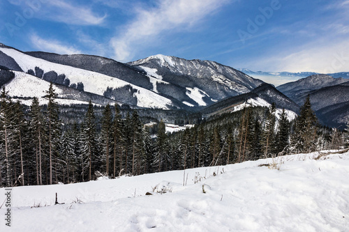 Fototapeta Naklejka Na Ścianę i Meble -  winter snow, landscape, mountain scenery