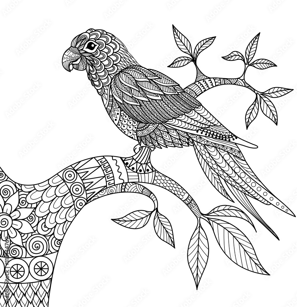 Fototapeta premium Doodle design of parrot on branch for adult coloring book