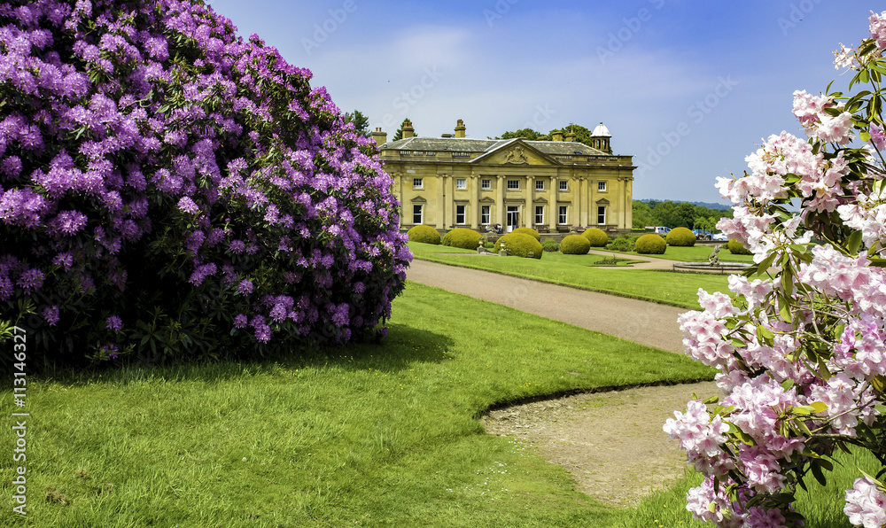 Rhododendrons at Wortley hall