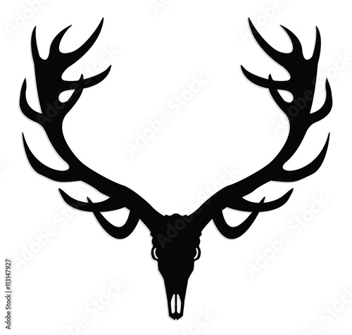 deer skull with antlers/ silhouette illustration