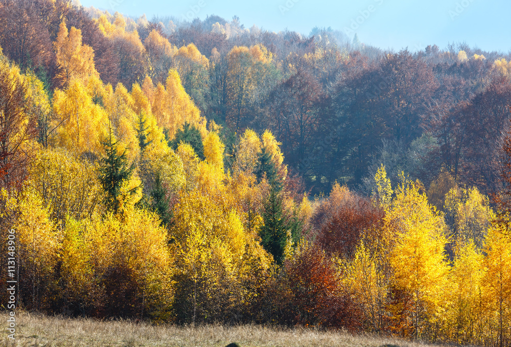 Fototapeta premium Golden autumn in mountain.