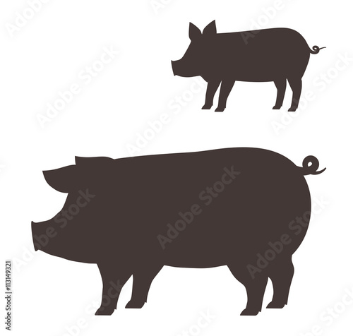 Big and small pig.