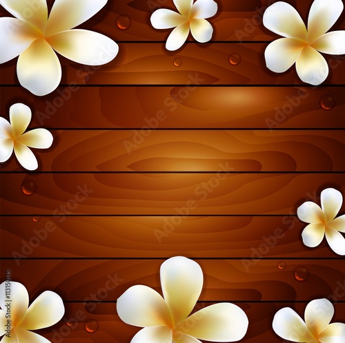 frangipani flower on wood background