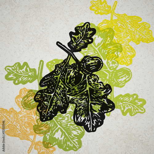 Vector acorns and oak branch in abstract composition.