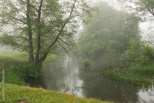 Misty morning on the small river.