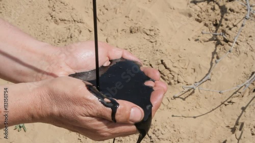In hands of the worker of the oil company crude oil flows