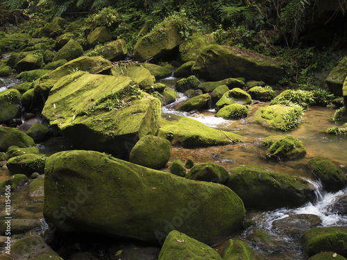 stream Da Gou Xi through mossy rocks in forest