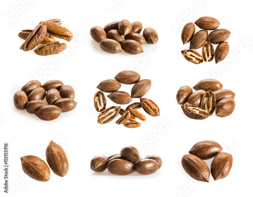 Collection of pecan nuts