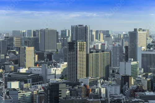 Tokyo Skyline, Cityscape of Tokyo City, Japan - Tokyo is the wor