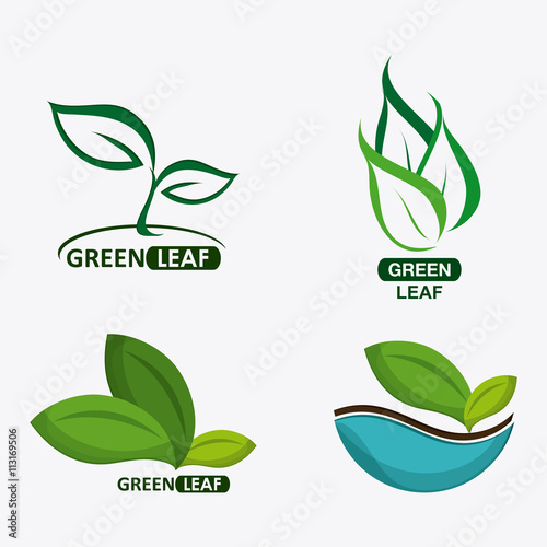 set of green leves design. nature icon. White background, graphic vector