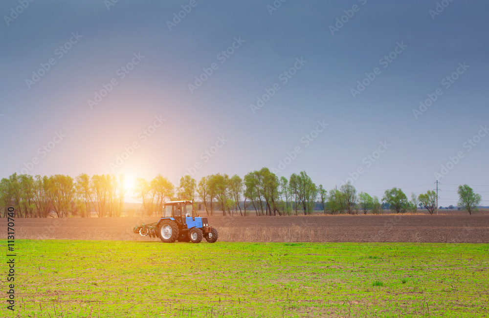 Obraz premium In the morning at sunrise tractor rides to plow a field