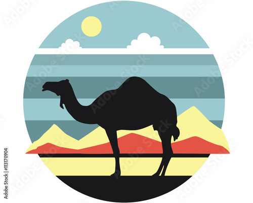 Camel in the desert