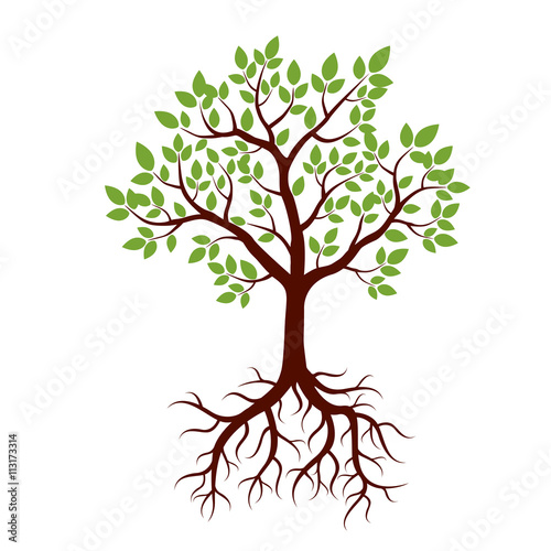 Shape of Tree, Roots and Green Leafs. Vector Illustration.