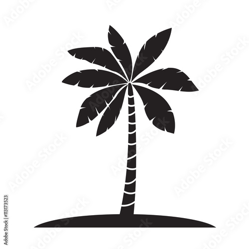 Palm trees silhouettes vector illustration isolated on white bac