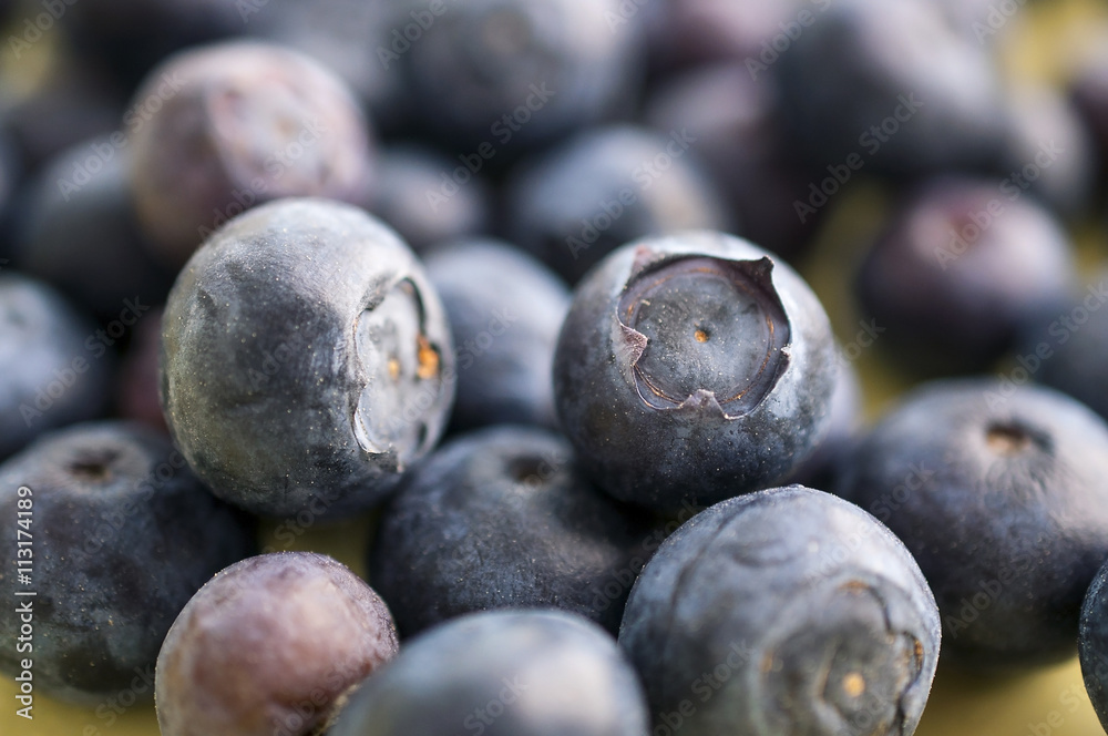 Fresh Bilberries. Close-up background. Macro. Fresh Bilberries. Close-up background. Macro.
