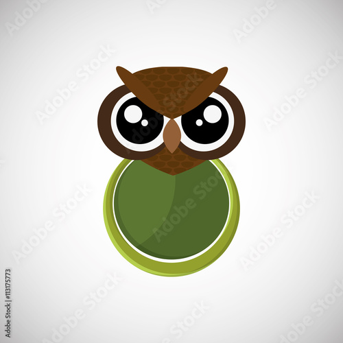 Animal design. owl icon. Isolated illustration  white background