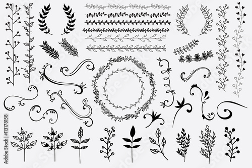 Hand Drawn Floral Design Elements

