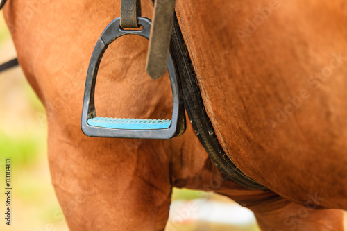 Closeup of horse and stirrup.