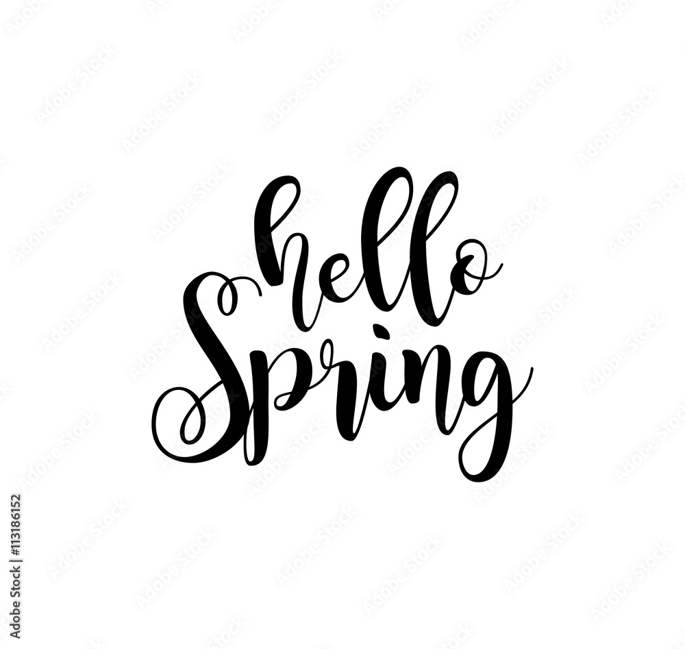Hello Spring. Beautiful greeting card poster with calligraphy black text word. Hand drawn design elements. Handwritten modern brush lettering on a white background isolated. Vector illustration EPS 10 Hello Spring. Beautiful greeting card poster with calligraphy black text word. Hand drawn design elements. Handwritten modern brush lettering on a white background isolated. Vector illustration EPS 10