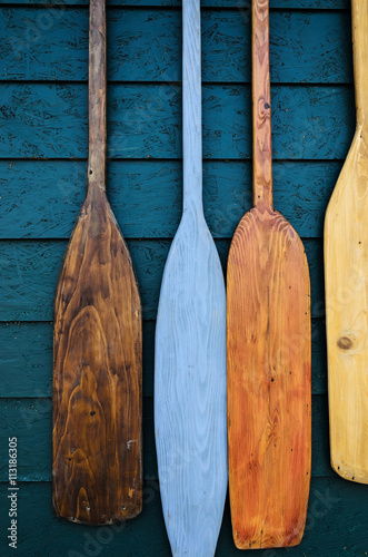 blades of wooden canoe paddles various colors on green wood background , a variety of styles and shapes - paddling concept