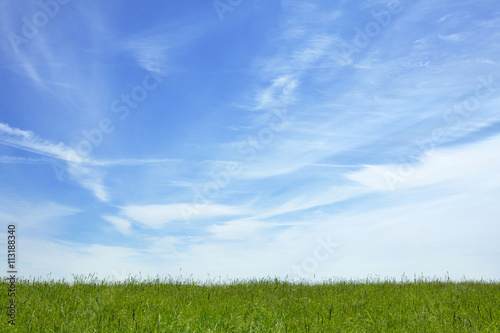 Blue sky over grassy meadow photo