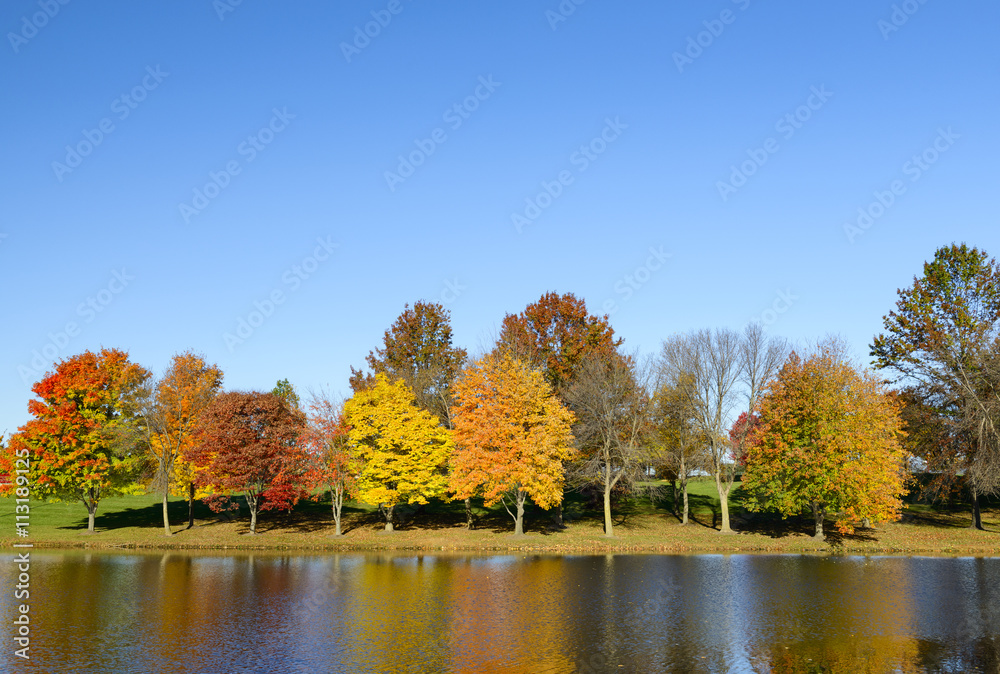 Row of Colorful Trees Along Lake in Autumn.