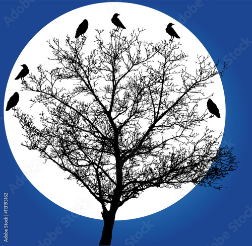 vector tree in the moonlight with crows