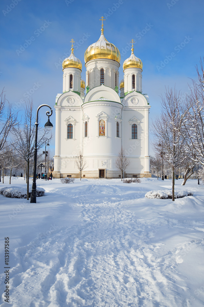 View of the Cathedral of St. Catherine the great Martyr, sunny february day. Tsarskoye Selo, Russia