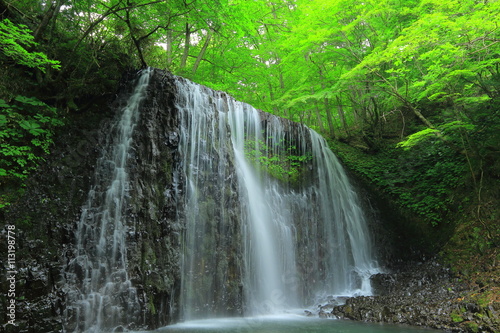 新緑の衣の滝 © yspbqh14