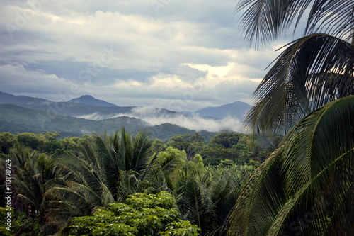 Landscape with rainforest and mountains photo