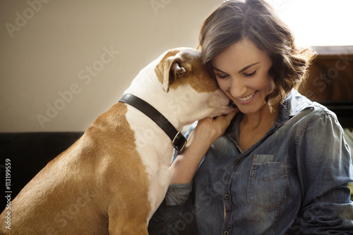 Dog showing afection to his female owner photo