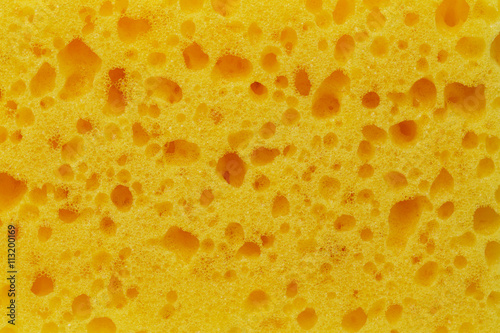 background of yellow sponges
