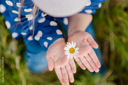 Daisy in the hands of a child