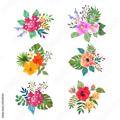 Vector flowers set. Colorful floral collection with leaves and f