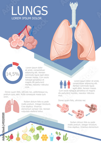 Human lung infographic