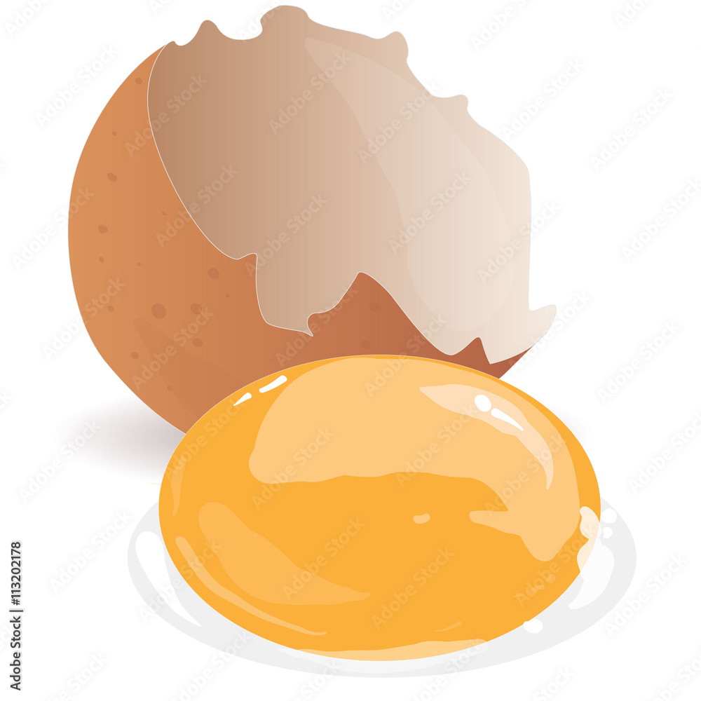 Broken egg isolated vector Broken egg isolated vector