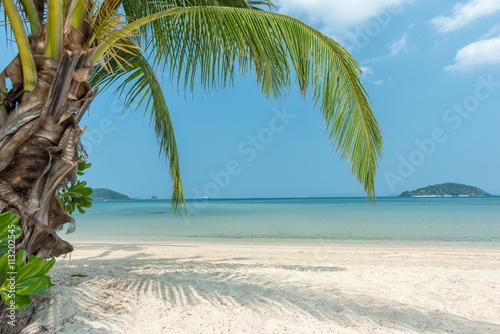Fototapeta Naklejka Na Ścianę i Meble -  Beach, Tropical beach and coconut trees
