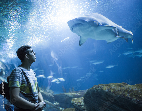 Man looking at shark fish while standing in aquarium photo