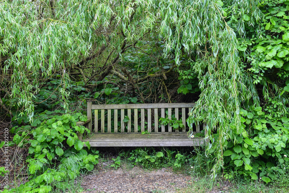 Wooden bench in the woods