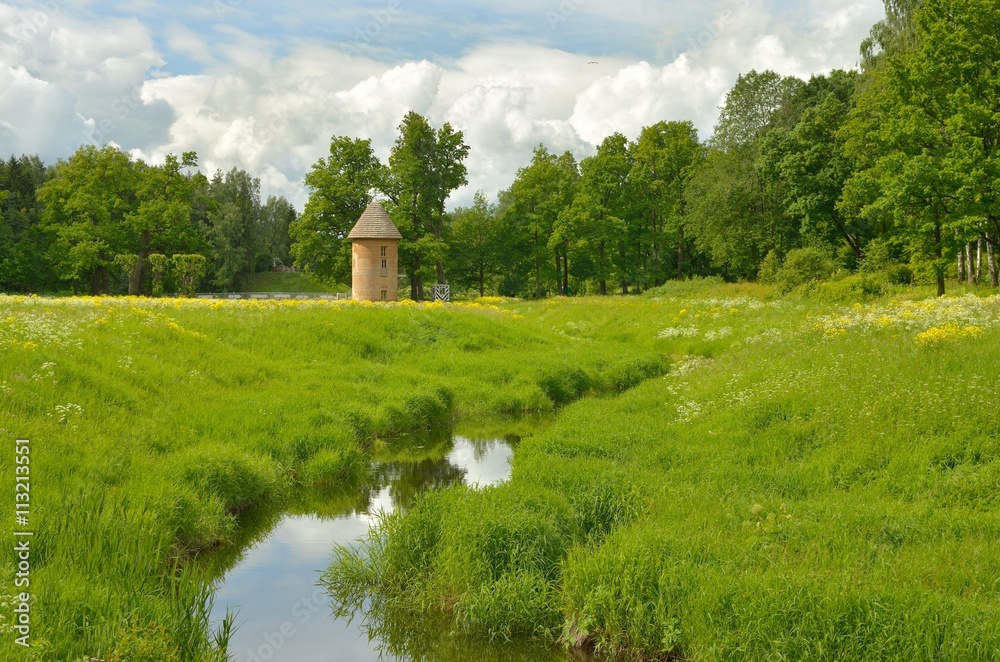 The natural landscape in the forest Park.