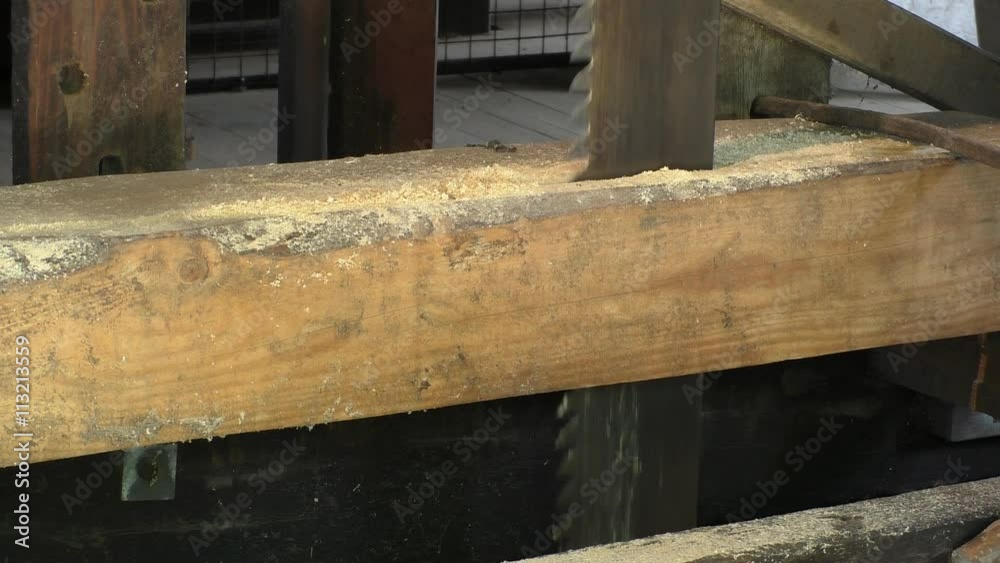 Piece of lumber or timber is being cut by vertically moving frame saw at an old waterwheel powered sawmill Piece of lumber or timber is being cut by vertically moving frame saw at an old waterwheel powered sawmill