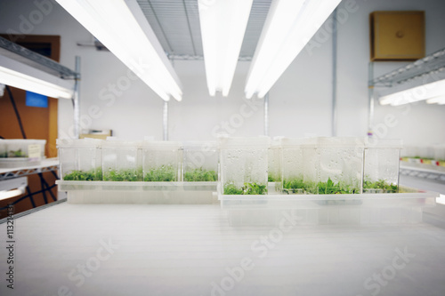 View of hydroponics laboratory photo