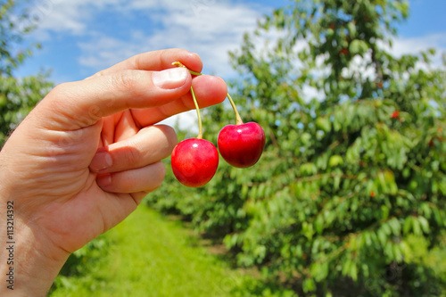 man holding berries in hand