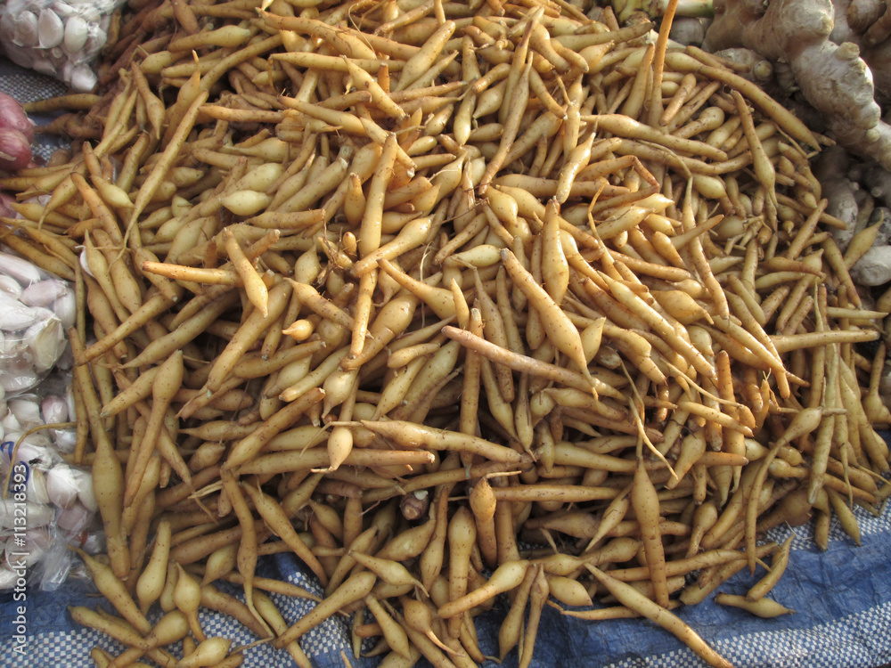 Fingerroot herb in asia