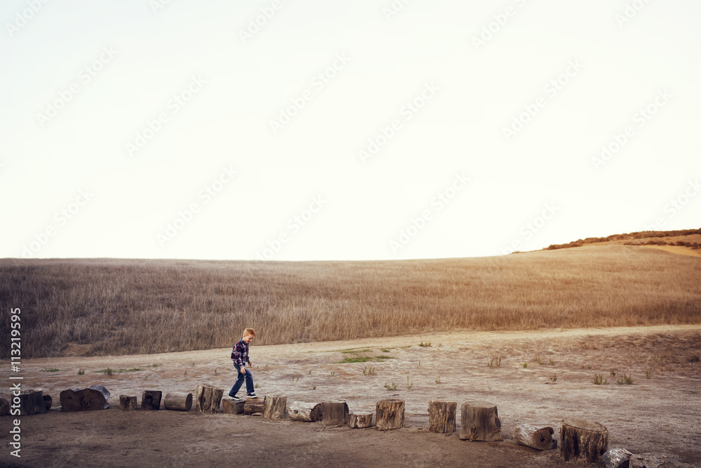 Boy walking on tree stumps