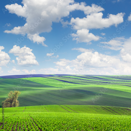 Wonderful Landscape  of fields in beautiful colorful and striped photo